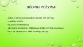 Skaidrės. Drėgnieji atogrąžų miškai. 8 puslapis