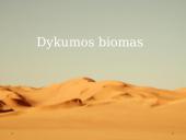 Dykumos biomas