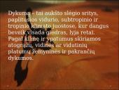 Dykumos biomas 3 puslapis