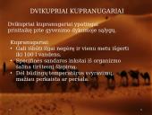 Dykumos biomas 9 puslapis