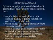 Dykumos biomas 10 puslapis