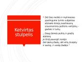 "Taip niekas tavęs nemylės" Maironis. Skaidrės 8 puslapis