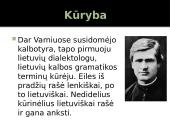 Antanas Baranauskas skaidrės 7 puslapis