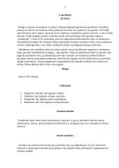 Atsinaujinanti energija - vėjo jėgainės 4 puslapis