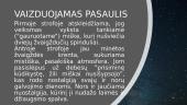 Henrikas Radauskas „Dvi žvaigždės“. Analizė 5 puslapis