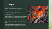 Anglis ir jos alotropinės atmainos 2 puslapis
