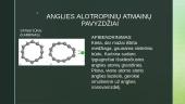 Anglis ir jos alotropinės atmainos 12 puslapis