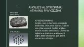 Anglis ir jos alotropinės atmainos 8 puslapis