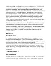 Pasiruošimas rašiniui iš neoromatizmo (Šatrija, Vaižgantas, Krėvė) 2 puslapis