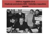 J.Stalinas ir A. Hitleris dalijasi Europą 4 puslapis