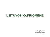 Lietuvos kariuomene skaidres