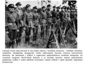 Lietuvos kariuomene skaidres 19 puslapis