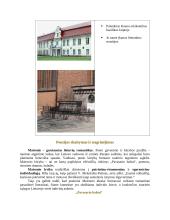 Konspektai apie Maironį (biografija ir kūryba) 7 puslapis