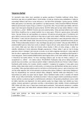 Metų aprašymas, II dalis 2 puslapis