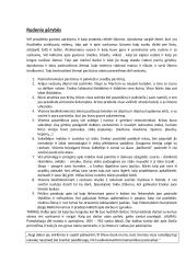 Metų aprašymas, II dalis 3 puslapis