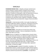 Aprašymas ,,Skirgaila'' 1 puslapis