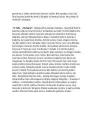 Aprašymas ,,Skirgaila'' 4 puslapis