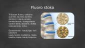 Fluoras_(Pristatymas).pptx 14 puslapis