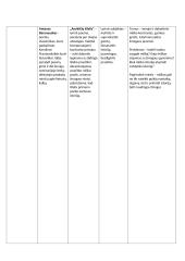 Superinis lietuvių kalbos konspektas prieš VBE egzaminą 11 puslapis