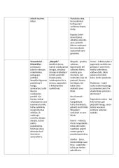 Superinis lietuvių kalbos konspektas prieš VBE egzaminą 20 puslapis