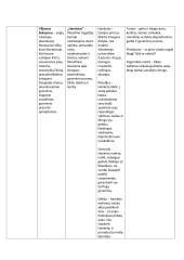 Superinis lietuvių kalbos konspektas prieš VBE egzaminą 4 puslapis