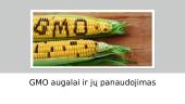 GMO augalai ir jų panaudojimas