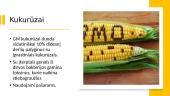 GMO augalai ir jų panaudojimas 4 puslapis