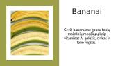 GMO augalai ir jų panaudojimas 10 puslapis