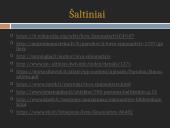 Ieva Simonaitytė (Pristatymas) 9 puslapis