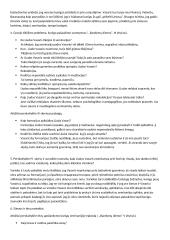 V. Mykolaičio - Putino "Altorių šešėly" analizė  2 puslapis