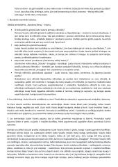 V. Mykolaičio - Putino "Altorių šešėly" analizė  4 puslapis
