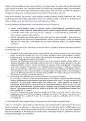 V. Mykolaičio - Putino "Altorių šešėly" analizė  5 puslapis