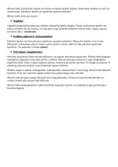 Mitozė ir mitozės fazės 3 puslapis