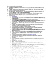 Antanas Škėma autobiografijoje rašė 2 puslapis