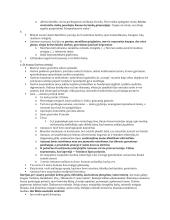 Antanas Škėma autobiografijoje rašė 5 puslapis