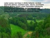 Myliu Lietuvą gimtinę. Skaidrės. 4 puslapis