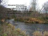 Myliu Lietuvą gimtinę. Skaidrės. 8 puslapis