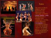 Skaidrės Indija 7 puslapis