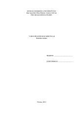Vaiko brandumas mokyklai (2)