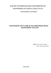 Ekonominė nelygybė ir jos sprendimo būdų ekonominė analizė