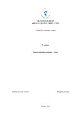 Naujo produkto įvedimas į rinką (greito maisto užkandinė)