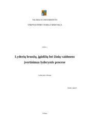 Lyderių bruožų, įgūdžių bei žinių vaidmens įvertinimas lyderystės procese