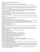 Filosofijos konspektas
