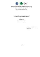 Pastato aprūpinimas šiluma (2)