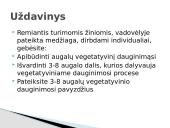 Vegetatyvinis augalų dauginimasis 2 puslapis