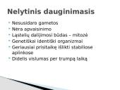 Vegetatyvinis augalų dauginimasis 4 puslapis