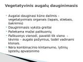 Vegetatyvinis augalų dauginimasis 5 puslapis