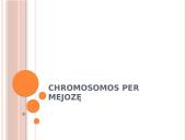 Chromosomos per mejozę