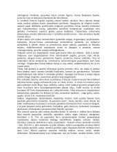 Lietuvių tautodailės sritis 2 puslapis