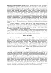 Renesanso plitimas ir ypatybės 2 puslapis